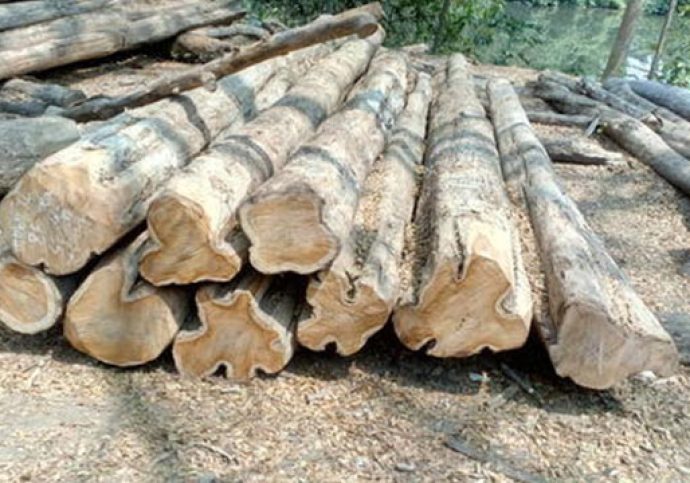 Nilambur Teak Wood